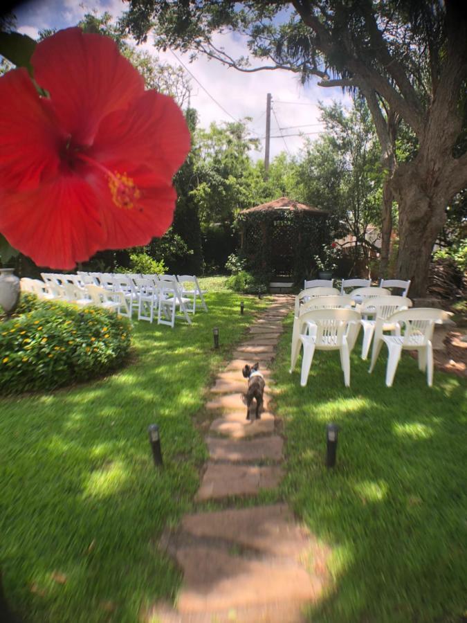 Avenue O Bed And Breakfast Galveston Exterior foto